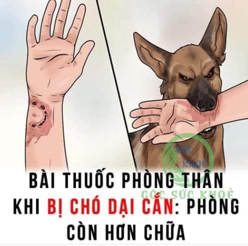 Mẹo hay giúp bạn,